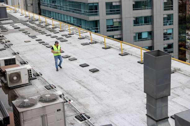 Best Skylight Installation and Repair  in Tehachapi, CA