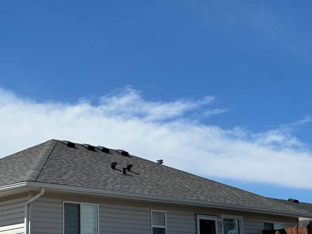 Best Steel Roofing  in Tehachapi, CA